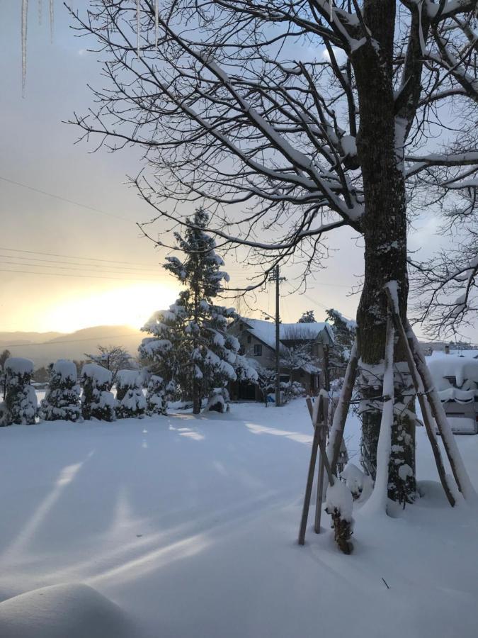 Hotel El Mayo Hakuba Exteriör bild